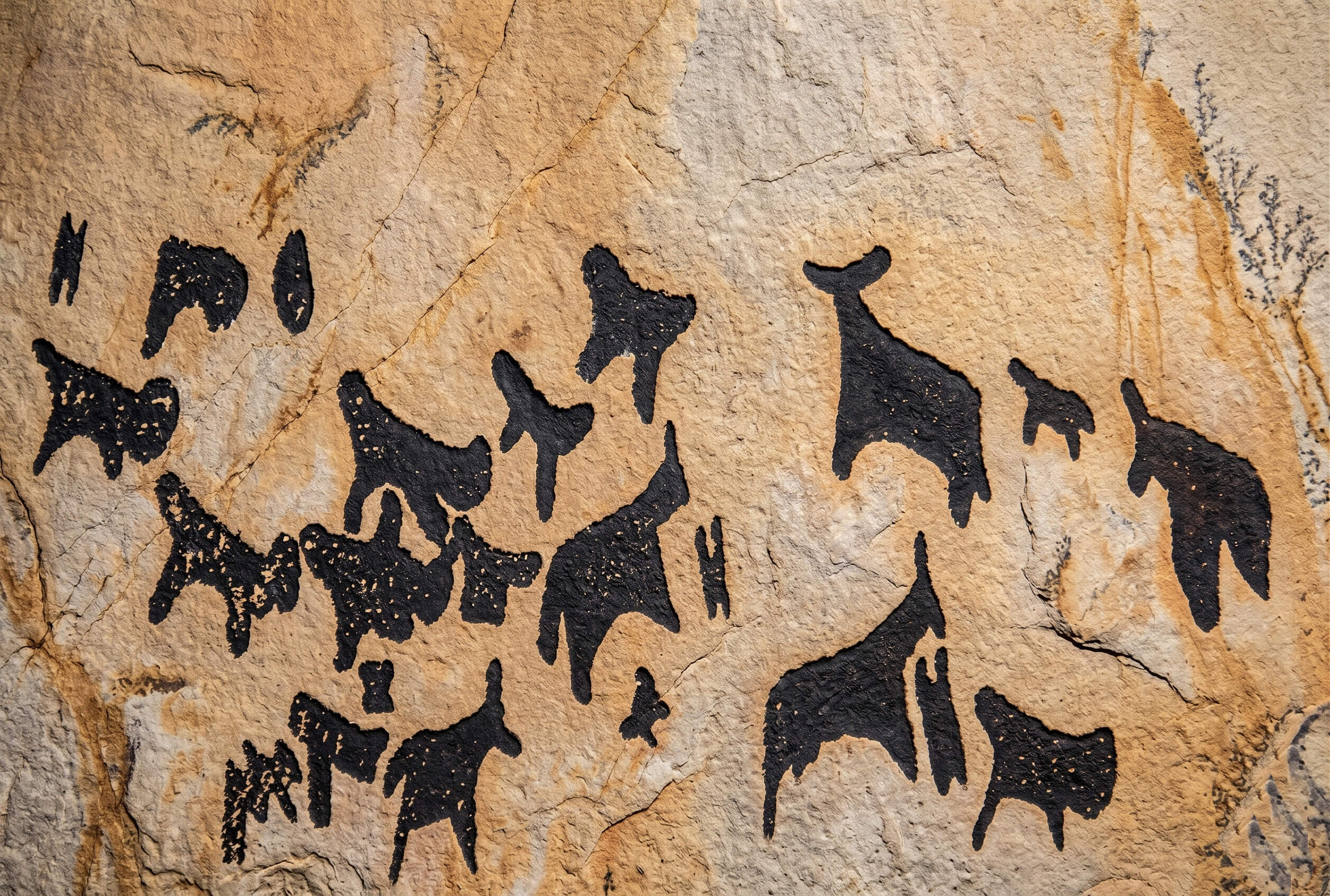 Lega oda cave   